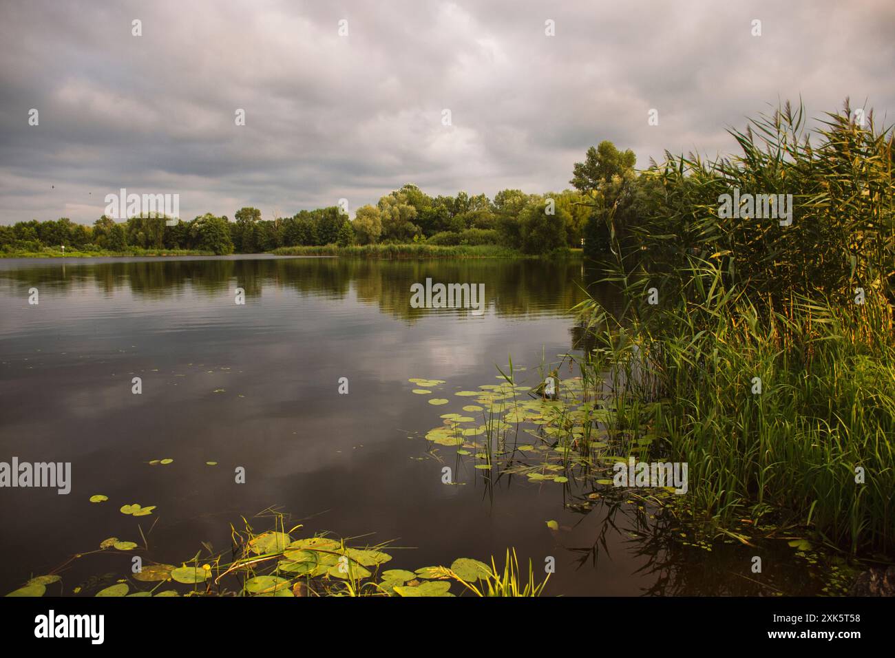 Abendliche Landschaft auf dem See. Wolken vor einem Gewitter schaffen eine malerische Atmosphäre. Stockfoto