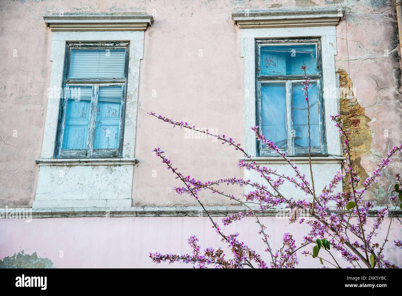 Pinkfarbene Fassade, Altstadt, Lissabon, Portugal Stockfoto