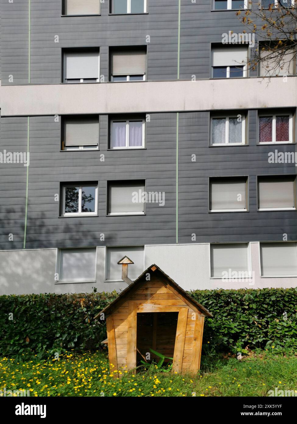 Ein kleines hölzernes Spielhaus befindet sich in einem Stück Gras und Wildblumen vor einem modernen Apartmentgebäude. Das Spielhaus hat ein schräges Dach und einen Gesang Stockfoto