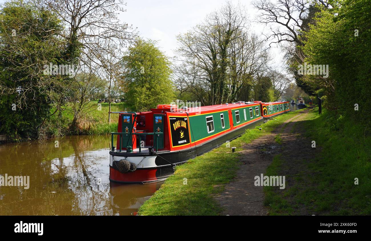 Schmale Boote auf dem Llangollen-Kanal in Wrenbury Cheshire. Stockfoto