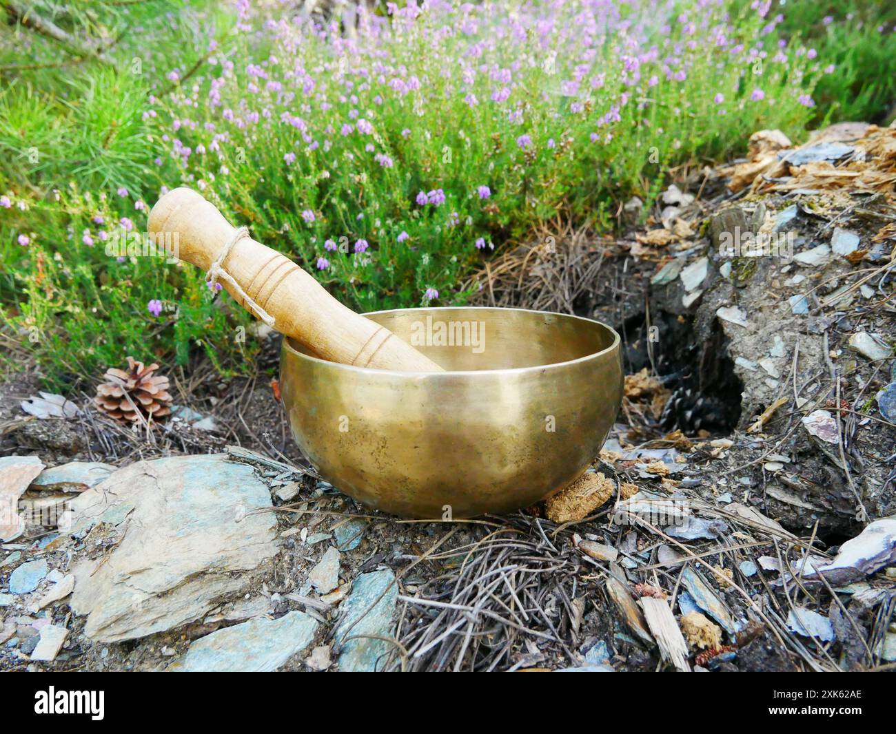 Eine Klangschale in der Natur mit lila Blumen im Hintergrund Stockfoto