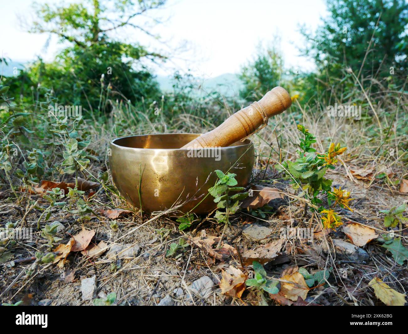Eine Klangschale in der Natur, mit den Bergen im Hintergrund Stockfoto