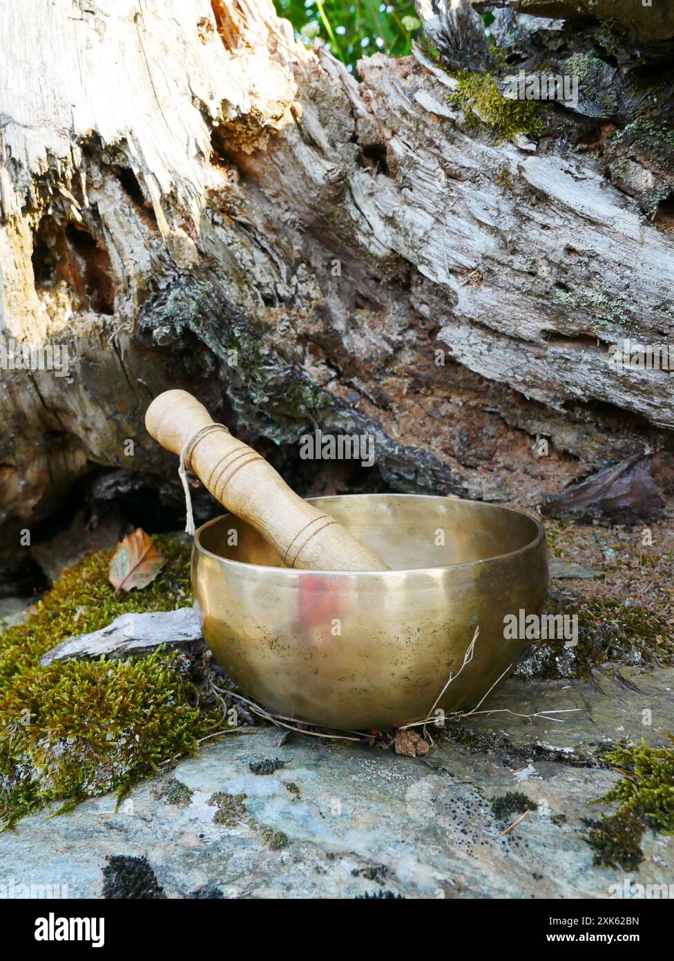 Eine Klangschale in der Natur, mit einem Baumstamm im Hintergrund Stockfoto