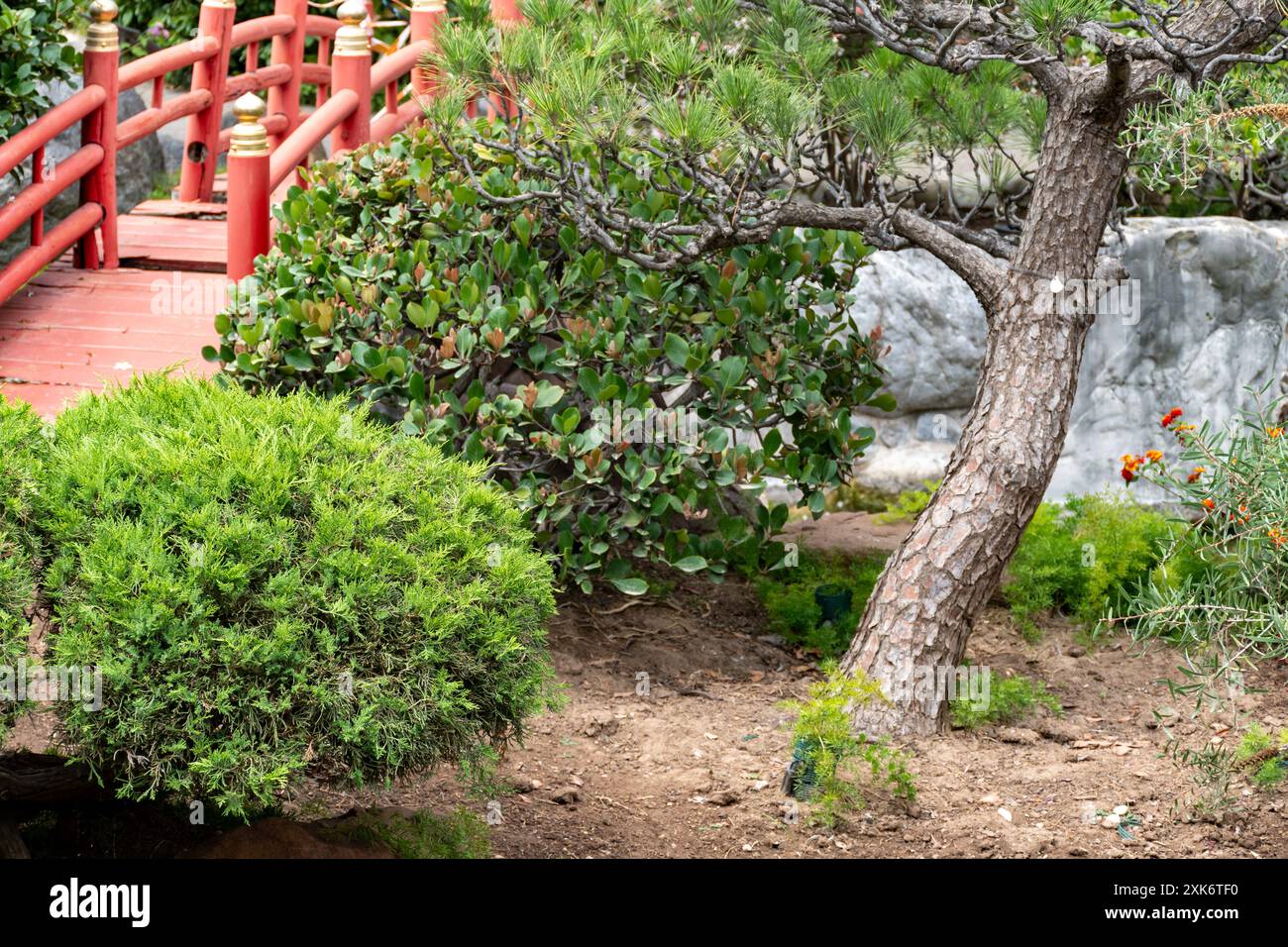 Landschaft Stadtdesign, öffentlicher Stadtpark im japanischen Stil mit Steinen, Bonsaikiefern, Blumen, kleinen Brücken, Wasserfällen im Zentrum von Monte-Carlo Stockfoto