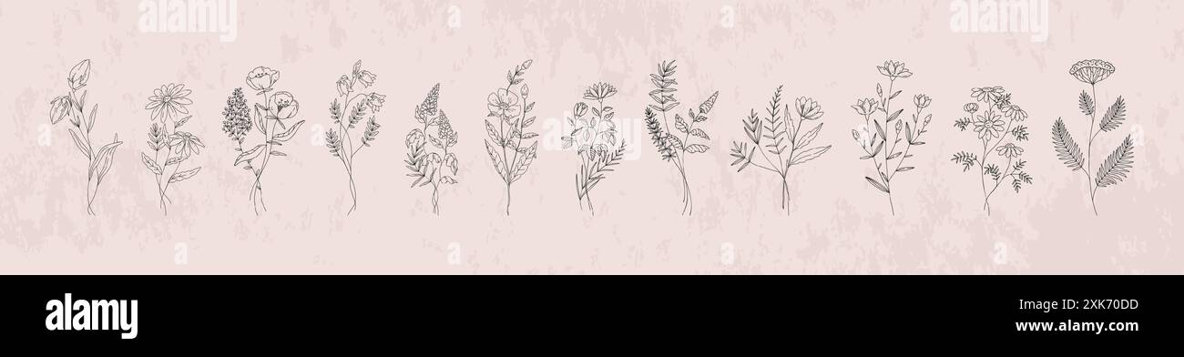 Strichblumen. Blumenkunstpflanzen, handgezeichneter Bouquet-Stil mit minimalem wilden Zweig, Boho-Tattoo-Blatt-Silhouette. Gartenkräuter, natürliche rustikale dekorative isolierte botanische Elemente. Vektorlogo Stock Vektor