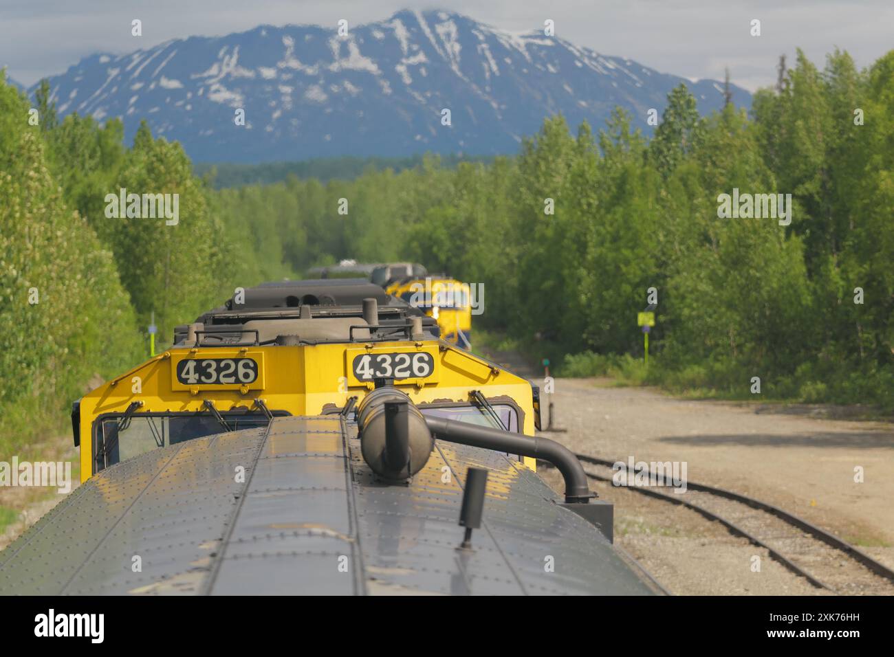 Blick auf und vom Denali Star Zug der Alaska Railroad von Anchorage zum Denali National Park Stockfoto