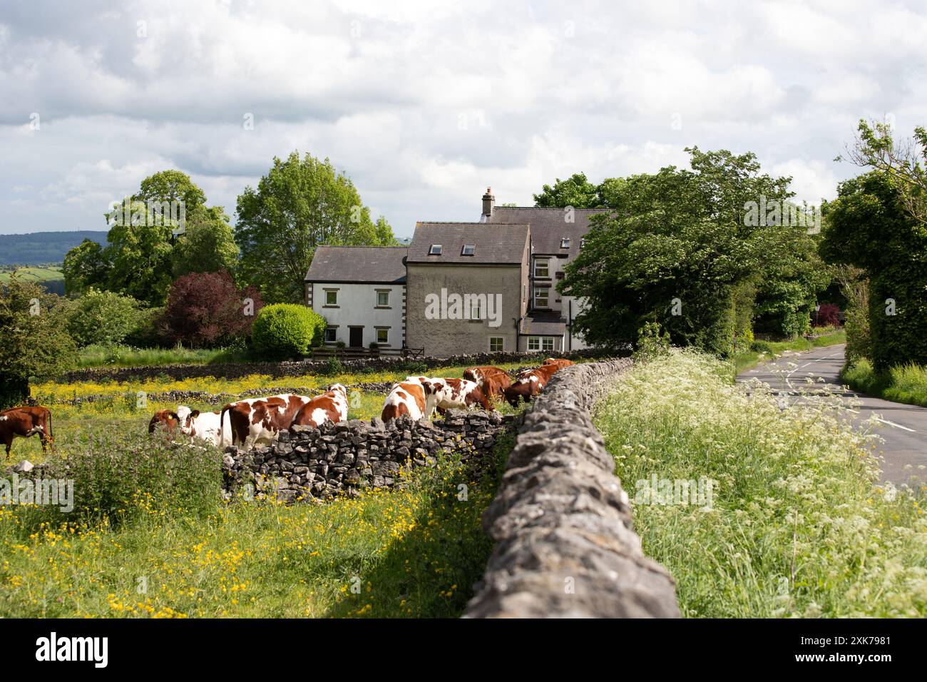 Cliff House | Monsal Head, Monsal Dale Valley, Derbyshire, England, im White Peak Kalkstein Gebiet des Peak District National Park, England, Großbritannien Stockfoto
