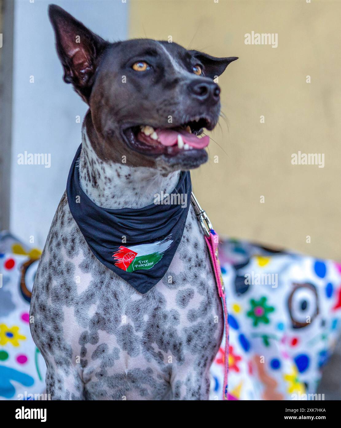 Thailand. Juli 2024. Der Hund des Aktivisten trug während der Demonstration einen Schal mit der Botschaft "freies Palästina". Diese Demonstration ist auch Teil der Kampagne von Amnesty, Briefe an den Kongress und Joe Biden zu schicken, in denen sie zu einem Waffenstillstand und einem Stopp der Waffenlieferungen an israel drängen. Aktivisten trauern um die 180.000 Toten, die durch die US-Waffenunterstützung verloren wurden. Quelle: SOPA Images Limited/Alamy Live News Stockfoto