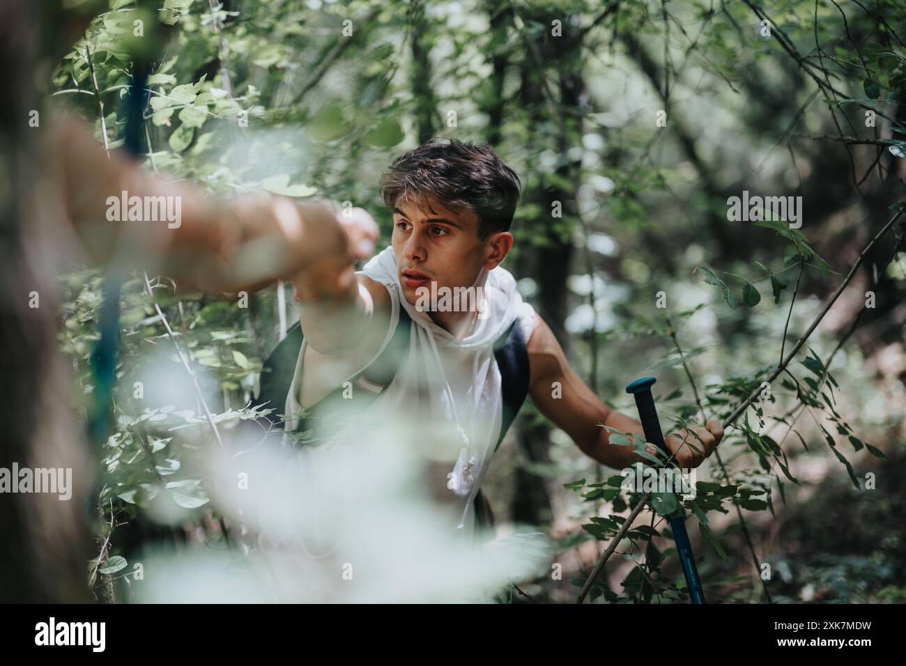 Junger Mann, der an einem sonnigen Tag durch dichten Wald wandert und seine Hand hält Stockfoto