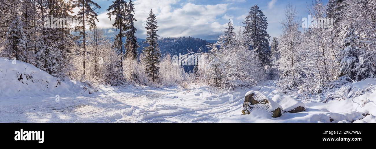 Winterlandschaft, Panorama, Banner - Blick auf die verschneite Straße im Winterbergwald Stockfoto