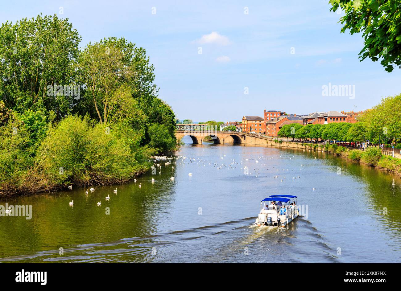 Blick entlang des Flusses Severn zur Wards Worcester Bridge in Worcester, einer Kathedralstadt und Kreisstadt von Worcestershire, West Midlands, England Stockfoto