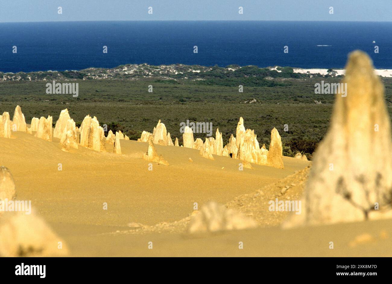 Die Pinnacles, Nambung National Park und der Indische Ozean, Western Australia Stockfoto