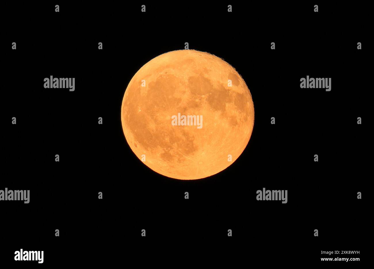 Orangefarbener Vollmond mit schwarzem Hintergrund, Montreal, Kanada Stockfoto