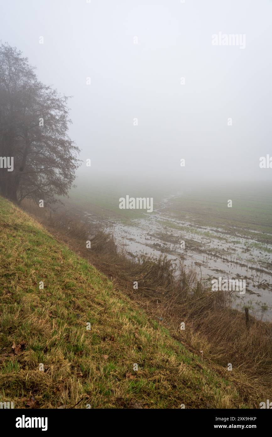 Die Belagerung von Bastogne Battlefield, die Schlacht um Noville's Landscape in Belgien Stockfoto