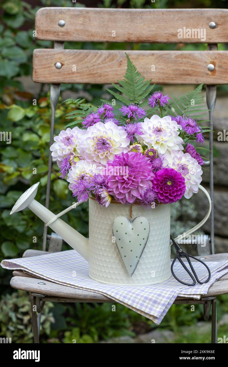 Strauß aus rosa und weißen Dahlienblüten und Wiesenknapweed in dekorativer Gießkanne auf dem Gartenstuhl Stockfoto
