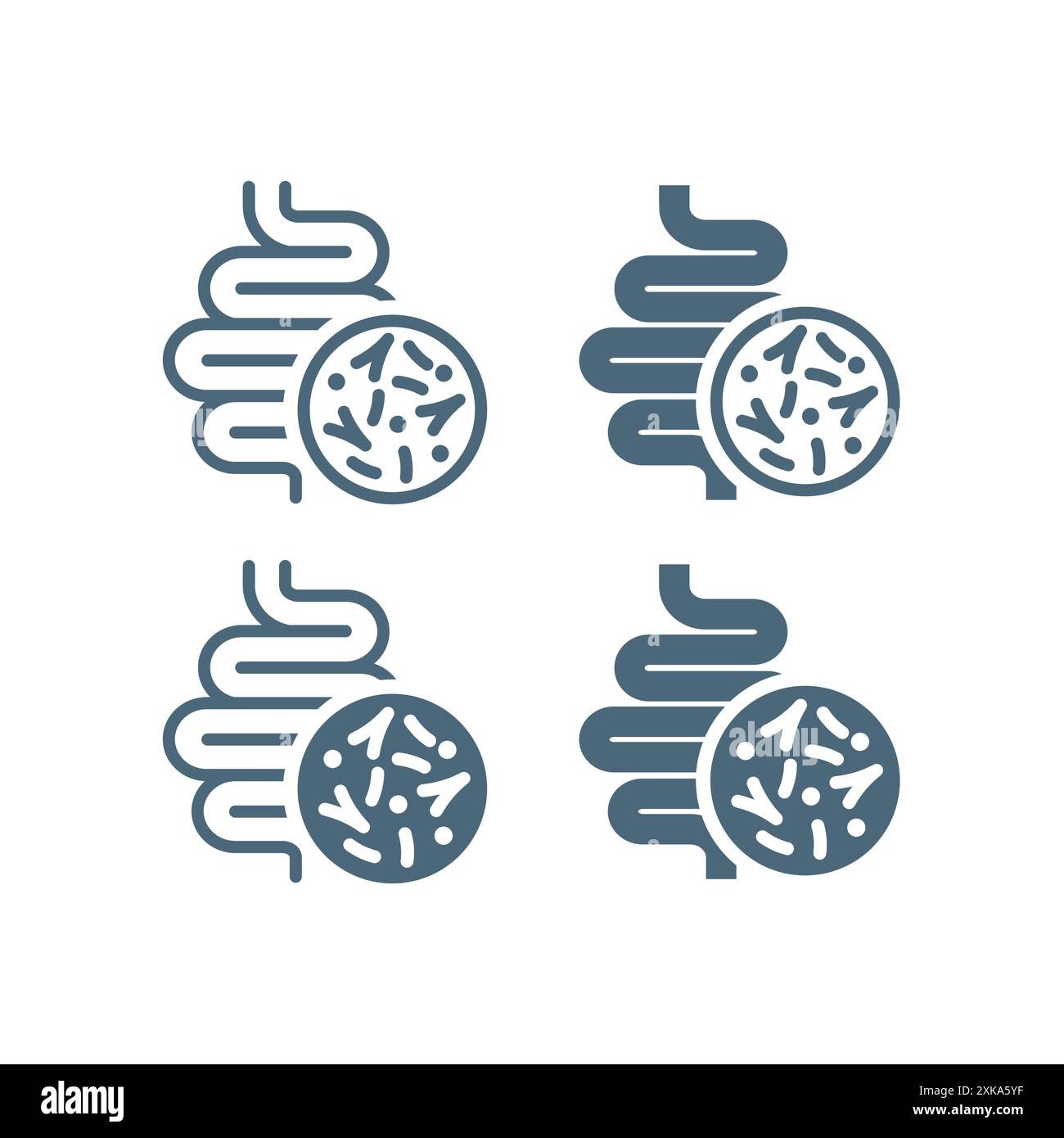 Symbolsatz für Darme und Mikroflora-Bakterien. Darm und Mikrobiota-Symbol. Stock Vektor