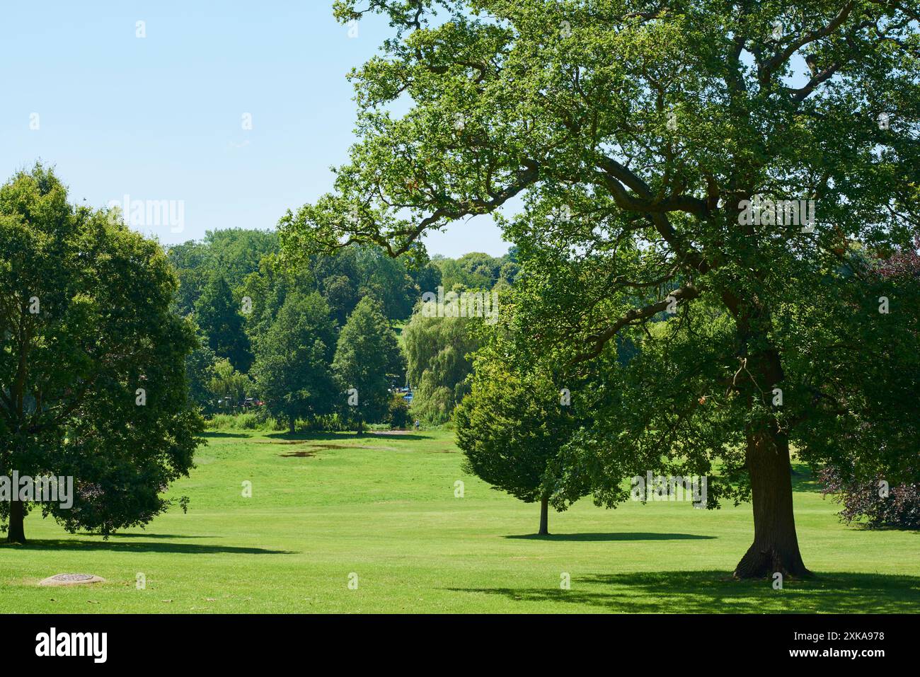 Gadebridge Park im Juli, Hemel Hempstead, Hertfordshire, Großbritannien Stockfoto