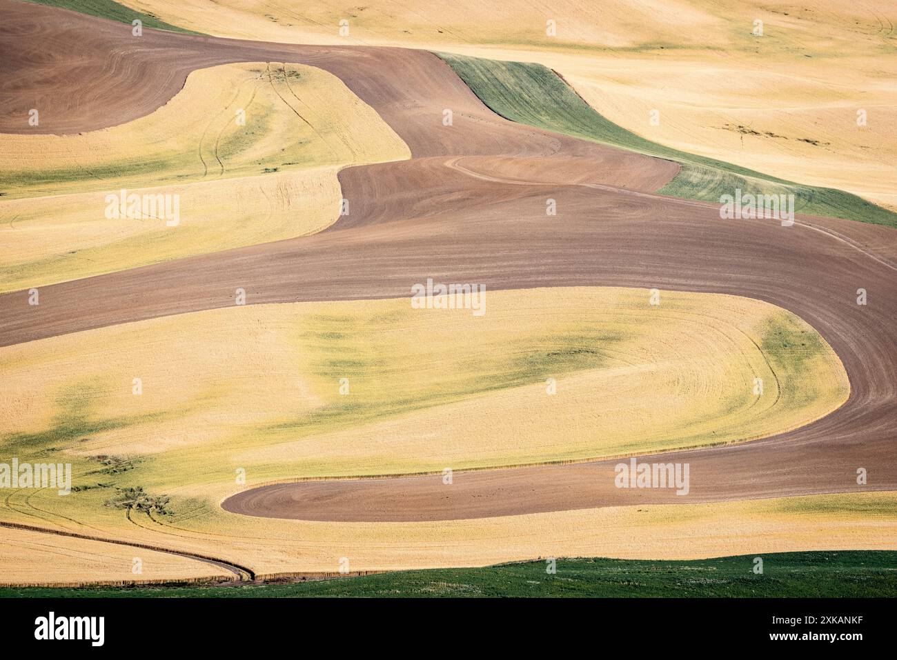 Rolling Hills und Farmland der Palouse aus Steptoe Butte, Washington Stockfoto