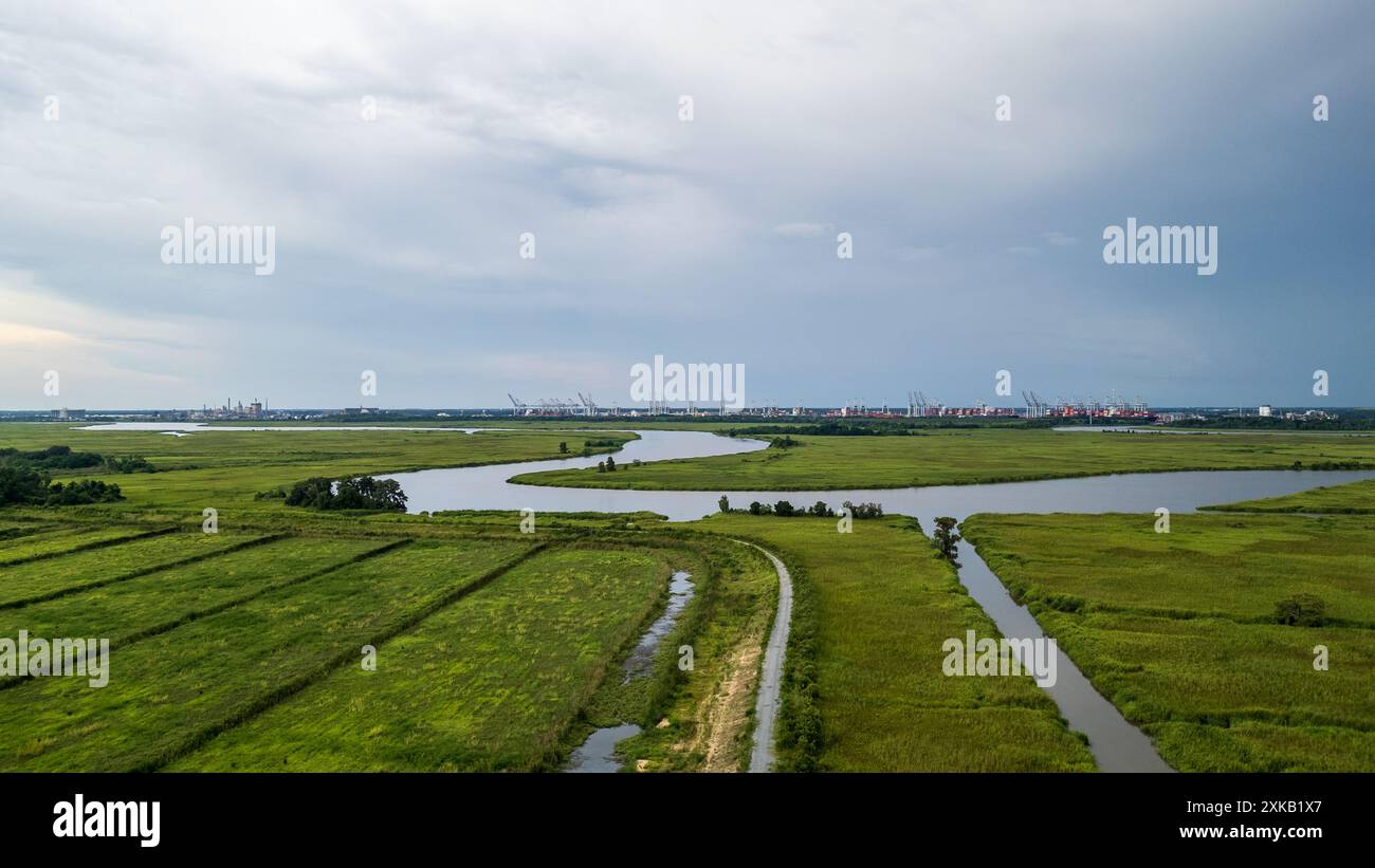 Blick auf die Georgia Ports Authority Savannah vom Laurel Hill Wildlife Refuge. Der Hafen von Savannah ist ein bedeutender US-Seehafen in Savannah, Georgia. Stockfoto