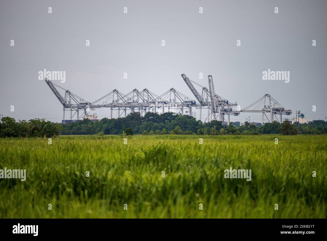 Blick auf die Georgia Ports Authority Savannah vom Laurel Hill Wildlife Refuge. Der Hafen von Savannah ist ein bedeutender US-Seehafen in Savannah, Georgia. Stockfoto