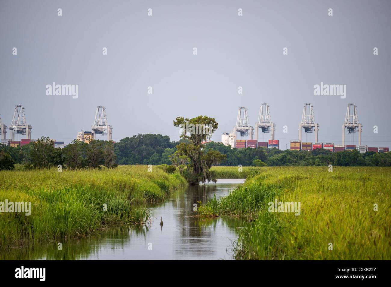 Blick auf die Georgia Ports Authority Savannah vom Laurel Hill Wildlife Refuge. Der Hafen von Savannah ist ein bedeutender US-Seehafen in Savannah, Georgia. Stockfoto