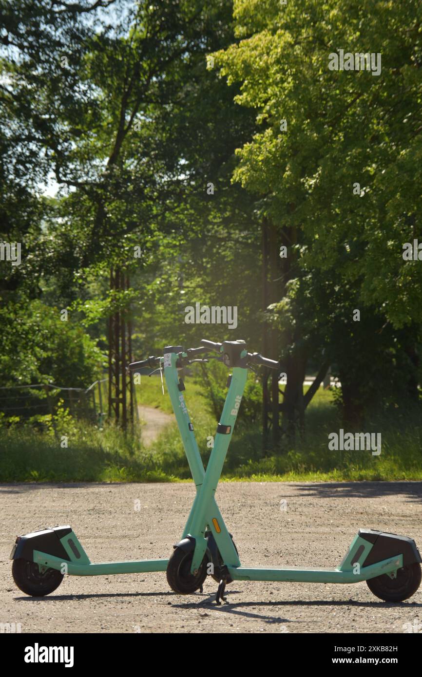 Liebende Schwäne in urbaner Natur Stockfoto