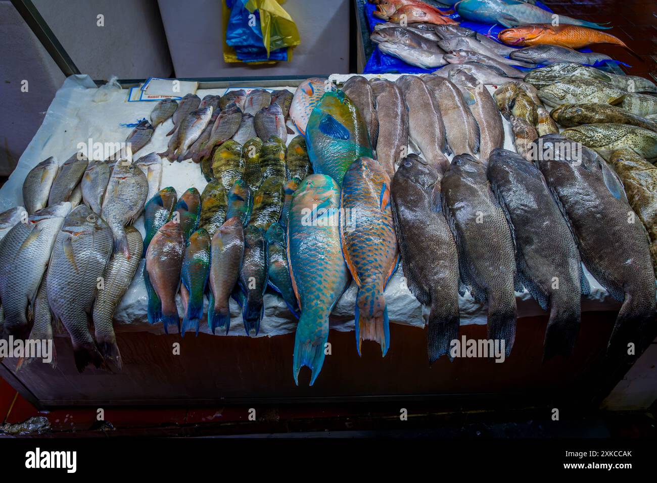 Fisch, Meeresfrüchte und Hummer, einschließlich exotischer farbenfroher Fische aus dem Roten Meer auf dem Jeddah Fish Market in Saudi Arabien, Nahost. Stockfoto