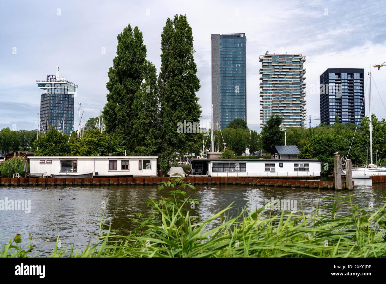 Hausboote in Sixhaven, am Fluss Ij, dahinter Hochhäuser im Stadtteil Overhoeks, Amsterdam, Niederlande Stockfoto