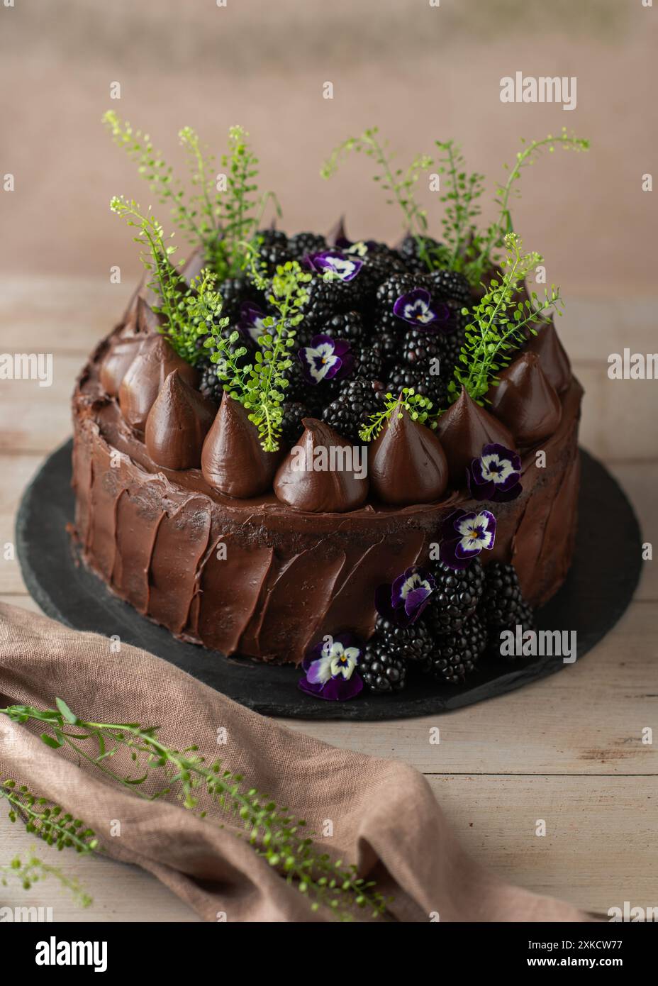 Schokoladenkuchen mit Brombeeren auf einem Holztisch. Geburtstagskuchen. Wunderschön dekoriert. Stockfoto