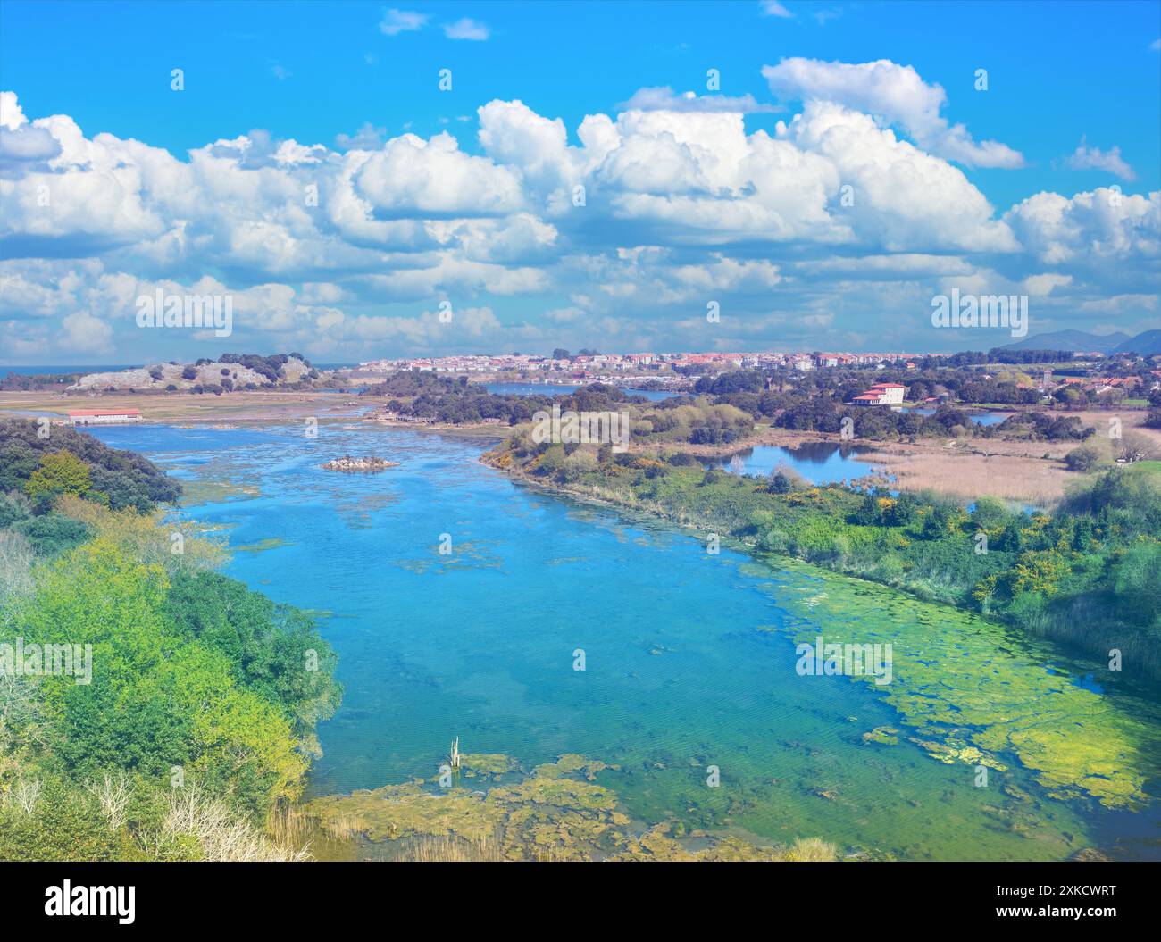 Malerische Wildnis, schöner See. Bodenschätze Marisma de Joyel. Kantabrien, Spanien, Europa Stockfoto