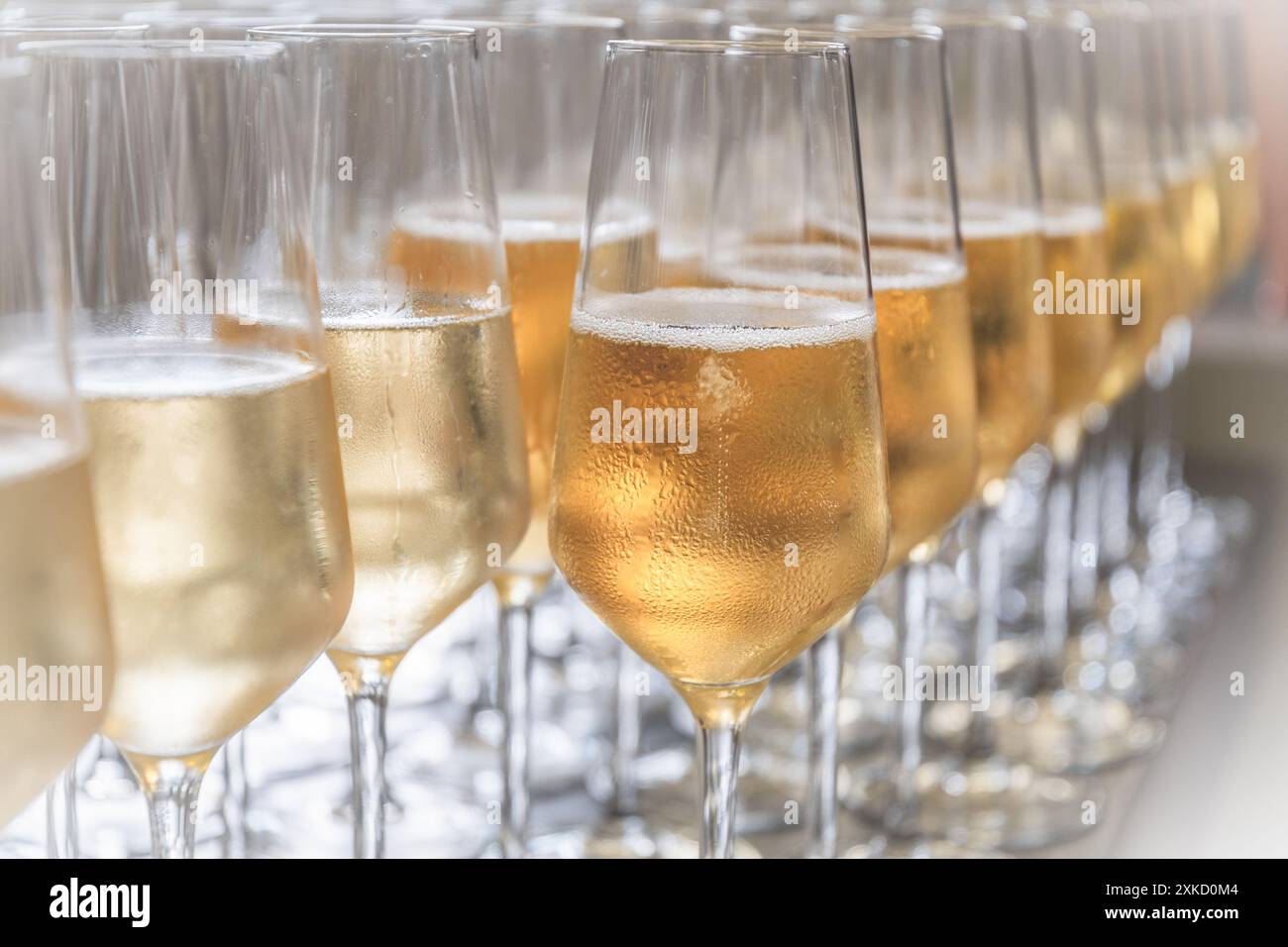 Eine Reihe mit Champagner gefüllter Gläser stehen bereit, serviert zu werden Stockfoto