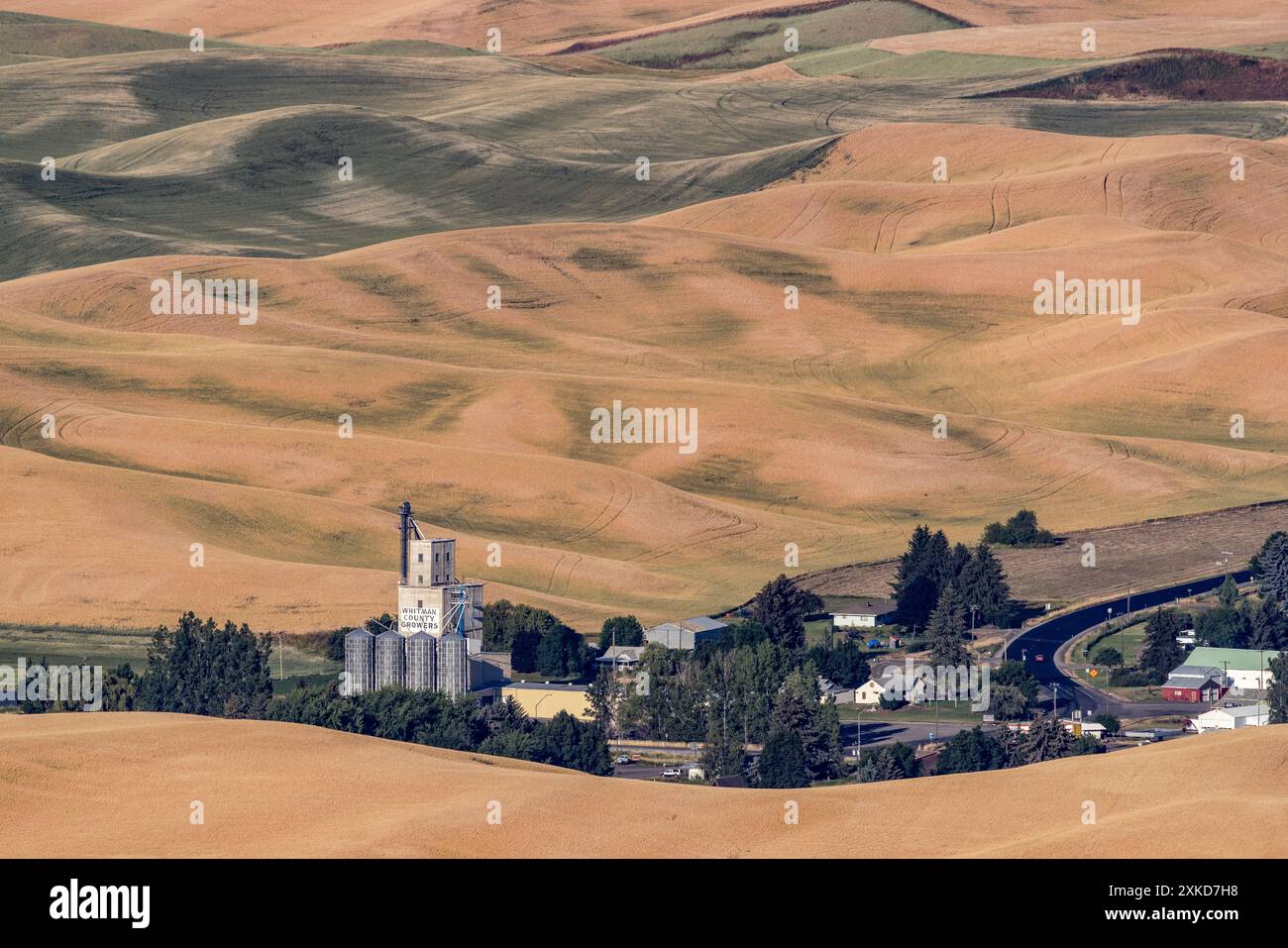 Whitman County Growers Grain Elevator in the Palouse, Washington, USA Stockfoto
