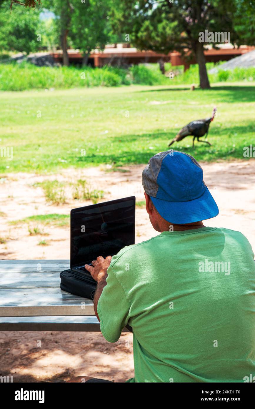 Ein Mann, der am Mac-Computer arbeitet, an einem Picknicktisch im Palo Duro Canyon State Park, Texas Stockfoto