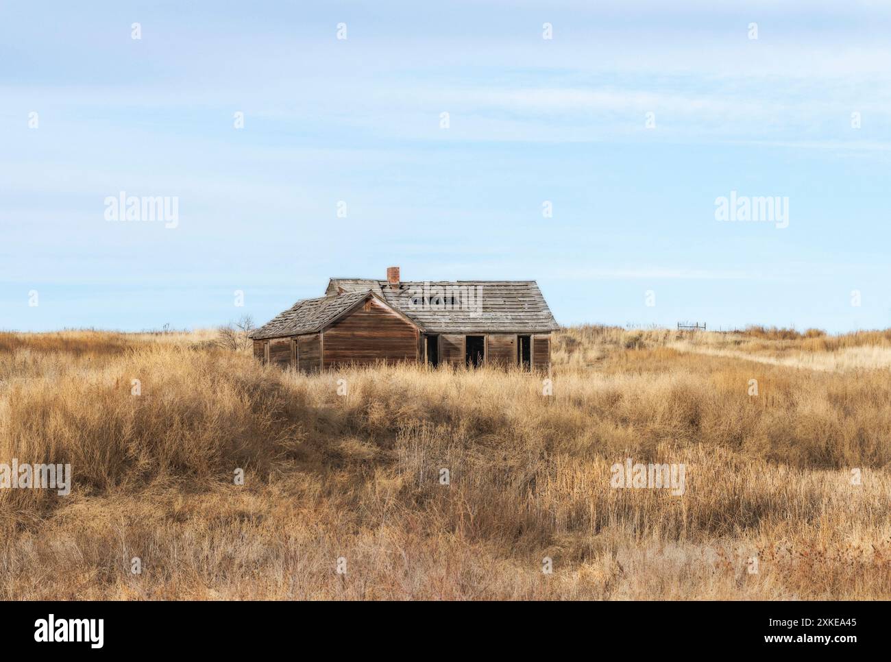 Eine einstöckige Holzhütte befindet sich auf einem Feld aus getrocknetem, braunem Gras unter einem klaren, blauen Himmel. Die Kabine verlassen wird; Stockfoto
