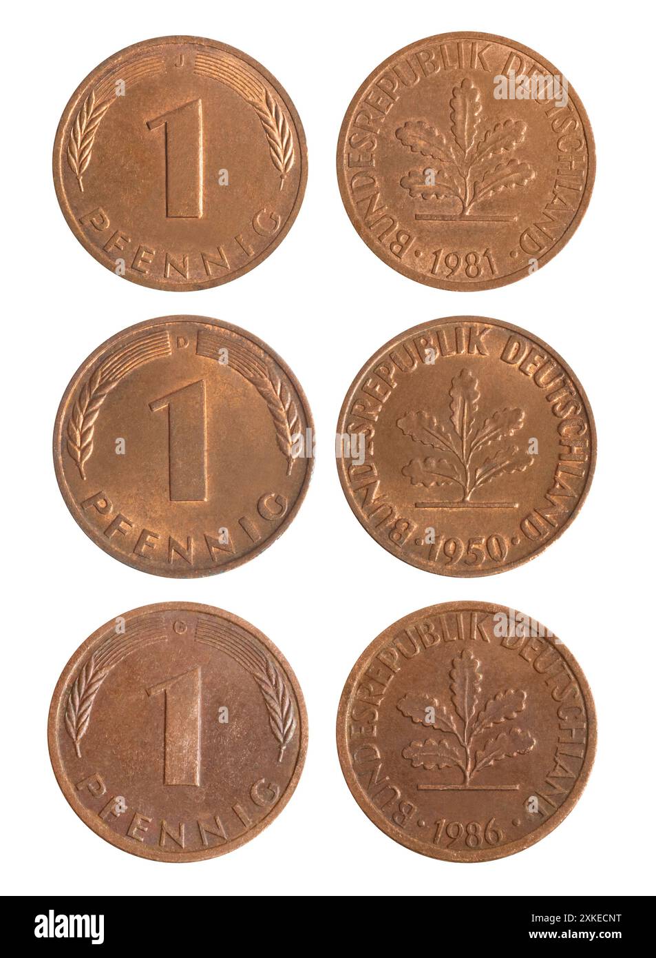 Einzelfoto von 1 deutschen mehrjährigen pfennig kupferbeschichteten Stahlmünzen der Bundesrepublik 1990-2001 auf weißem Hintergrund. Stockfoto