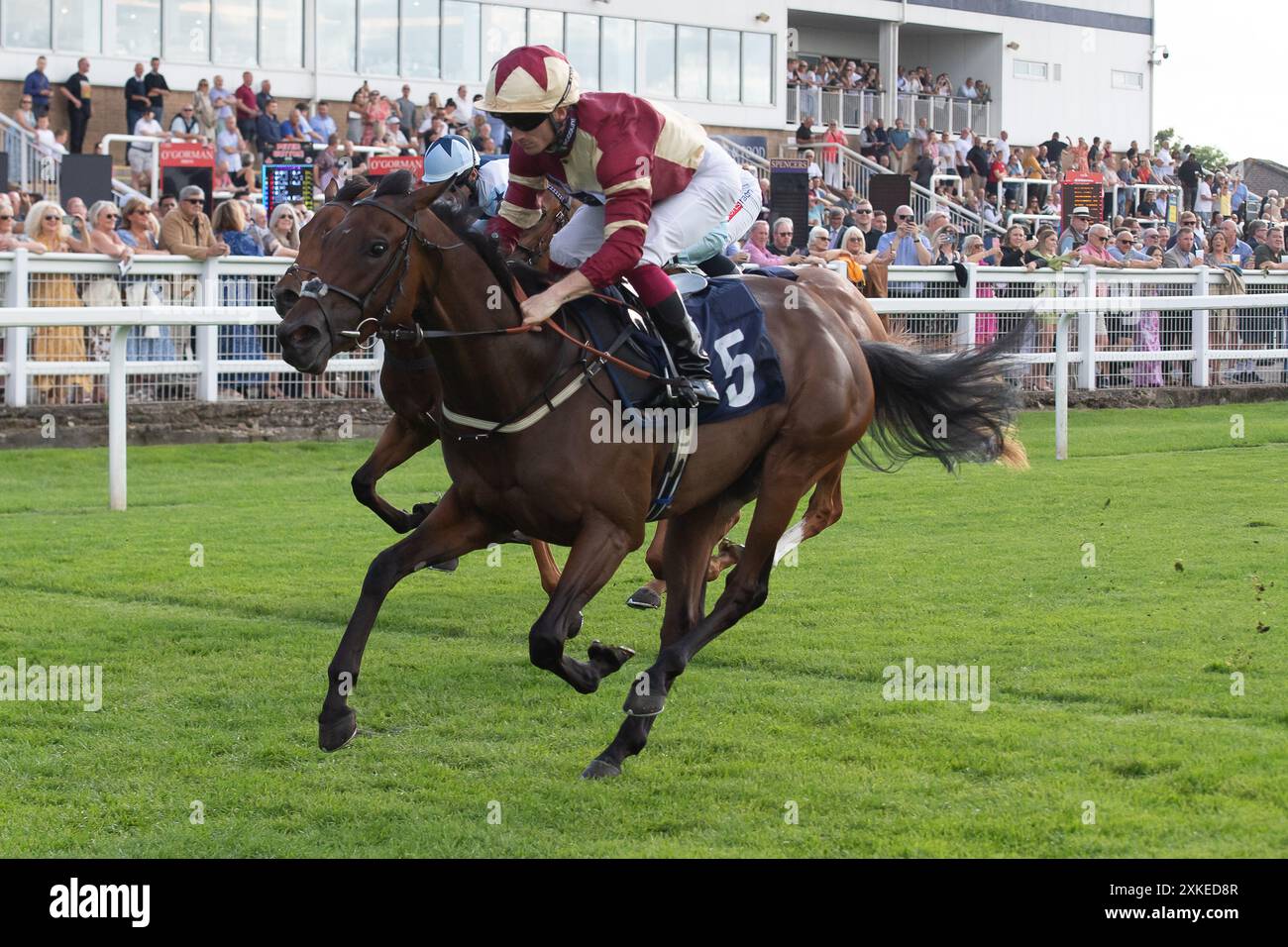 Windsor, Berkshire, Großbritannien. Juli 2024. Horse Ruff Justice, geritten von Jockey Edward Greatrex, gewinnt den Download the Raceday Ready App Nursery Handicap Stakes auf der Royal Windsor Racecourse in Windsor, Berkshire. Eigentümer Jim und Claire Limited, Trainer Warren Gretrex, Upper Lambourn, Züchter A H Bennett, Sponsor 1Account Ltd Quelle: Maureen McLean/Alamy Live News Stockfoto