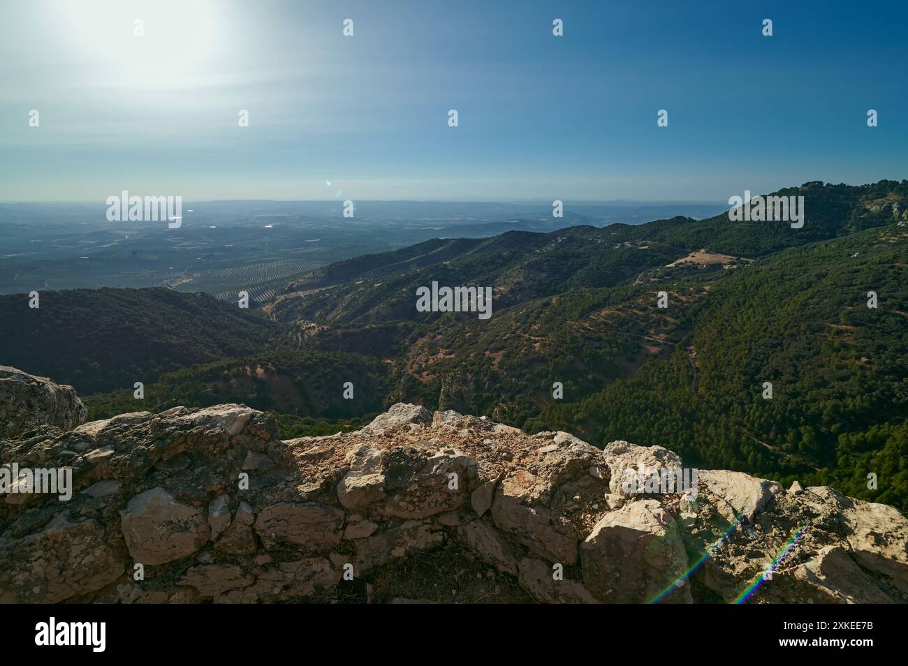 Ein atemberaubender Blick auf eine Berglandschaft mit einer Mischung aus rauem Gelände und dichten Wäldern unter einem klaren, sonnigen Himmel. Ideal für Natur, Reisen und unterwegs Stockfoto