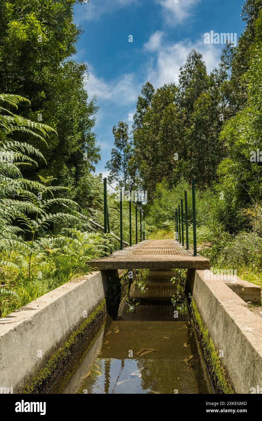 Levada Nova in Calheta Madeira Stockfoto