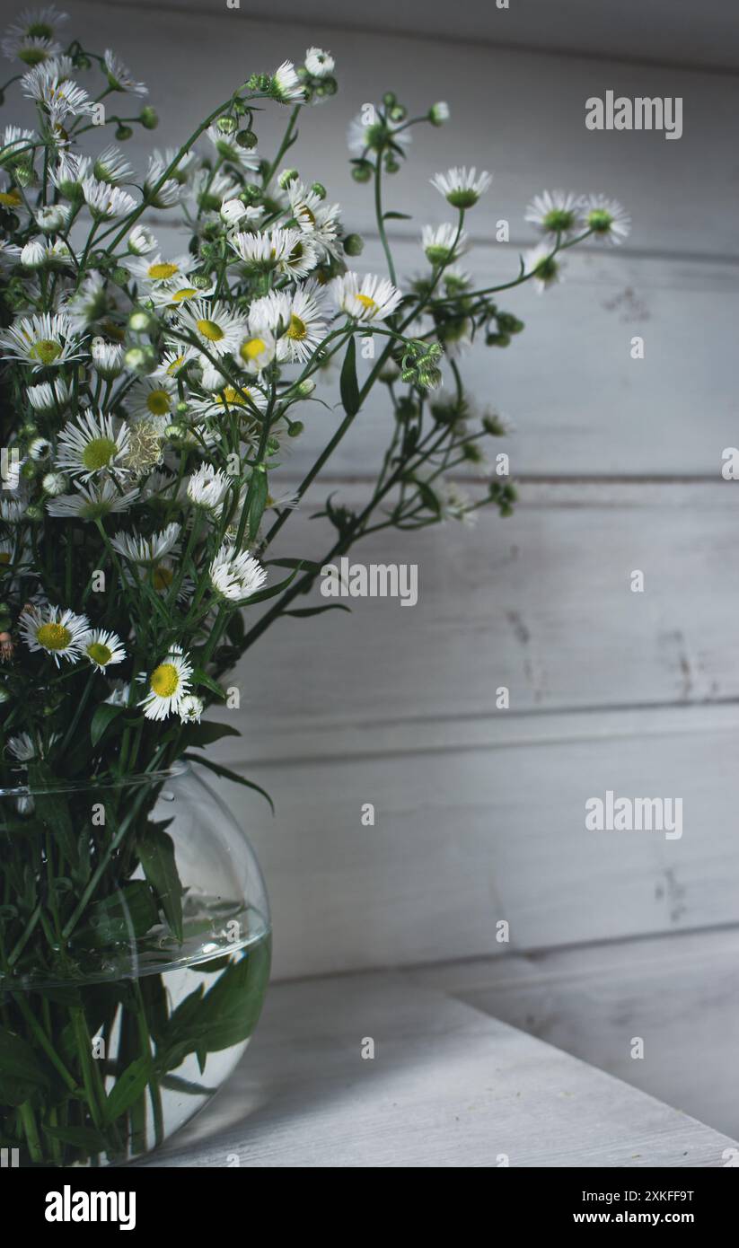 Strauß von kleinen Gänseblümchen in Glasvase. Kamillenblüten auf hölzernem Hintergrund. Gemütliche Einrichtung mit weißen Blumen. Blumengeschenk. Ländlicher Lebensstil. Stockfoto