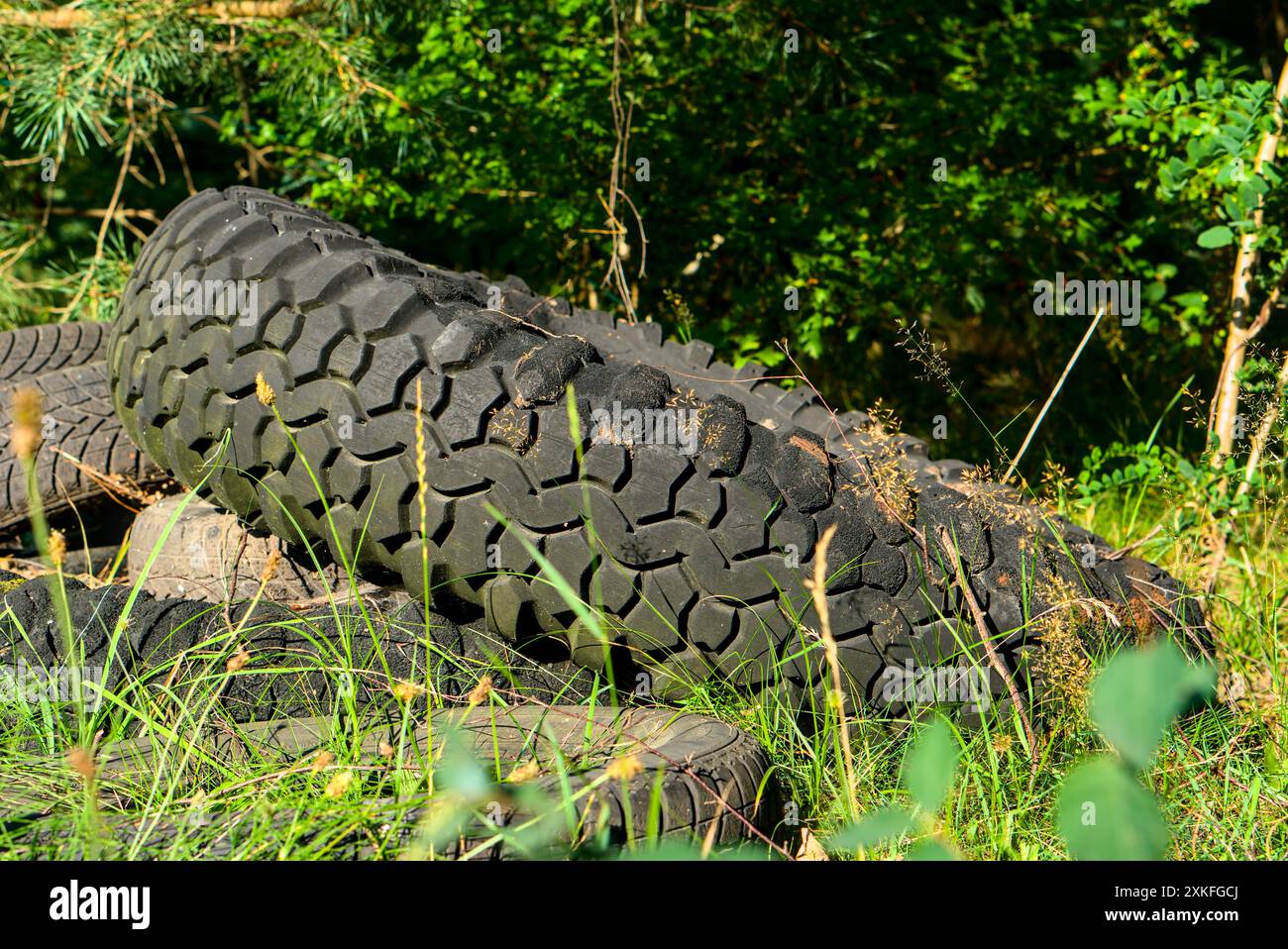 Alte Reifen liegen in bewachsenem Gras und Bäumen in einem Wald, was Umweltverschmutzung und Müll hervorhebt. Stockfoto