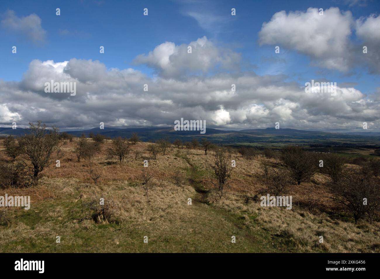 Das Gipfelplateau Hutton Roof Crags bei Burton in Kendal Westmorland und Furness England Stockfoto