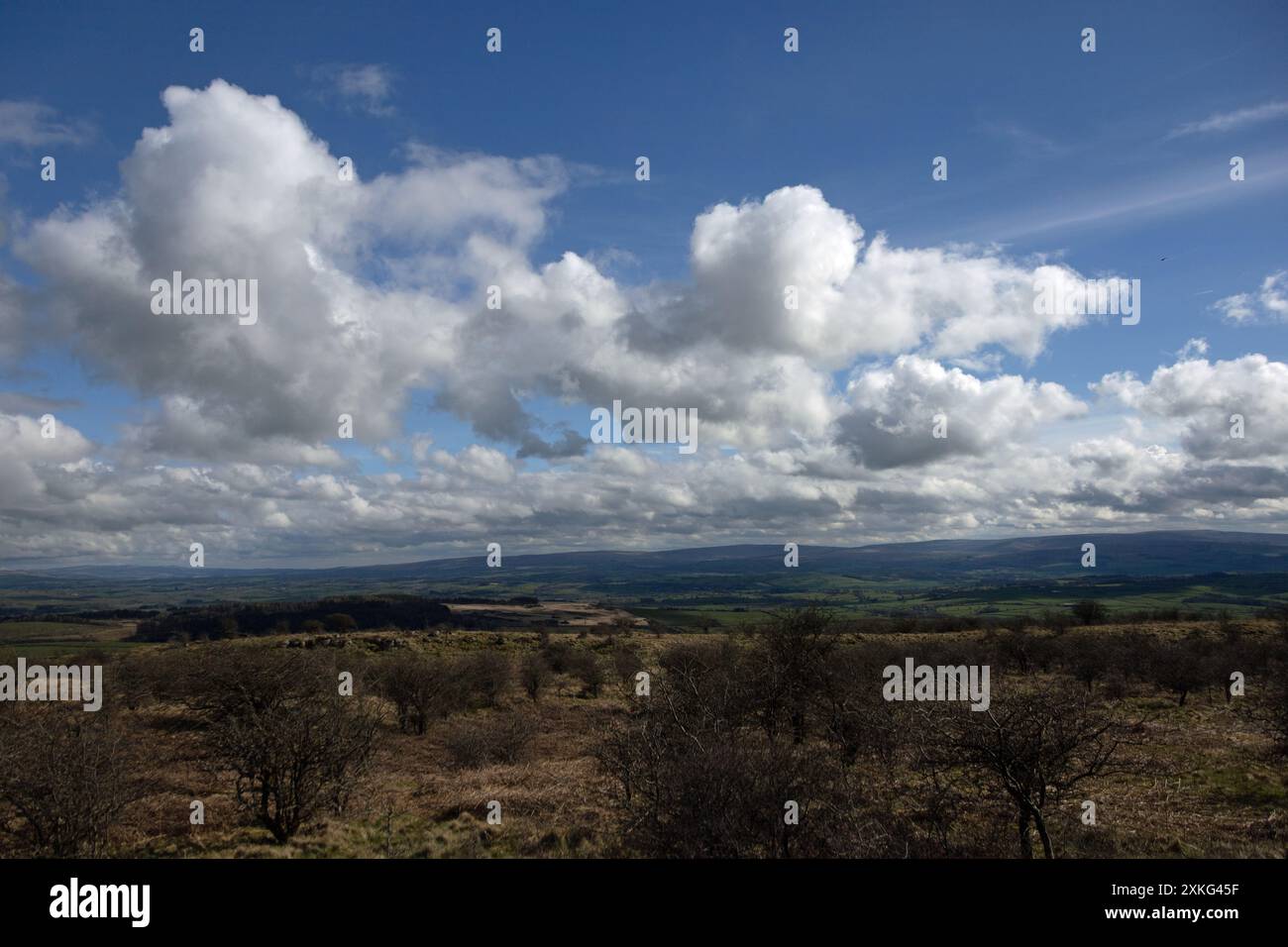 Das Gipfelplateau Hutton Roof Crags bei Burton in Kendal Westmorland und Furness England Stockfoto