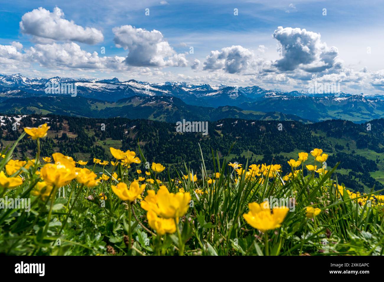 Bergtour über die Brunnenauscharte zum Hochgrat auf der Nagelfluhkette im Allgau Stockfoto