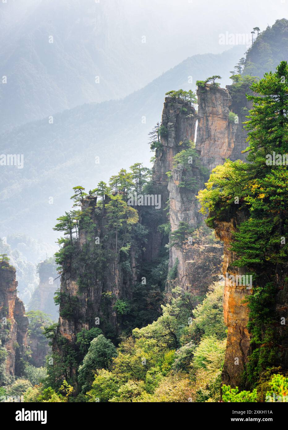 Fantastischer Blick auf Bäume, die auf steilen Klippen wachsen (Avatar Rocks) Stockfoto