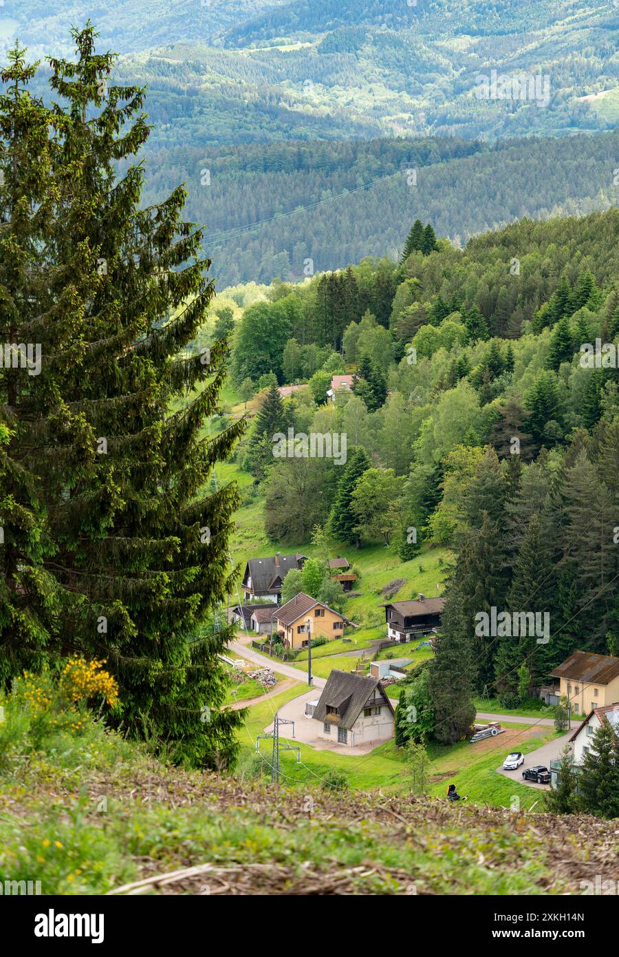 Landschaft rund um Saulxures, eine Gemeinde im Departement Unterrhein in Grand Est im Nordosten Frankreichs Stockfoto