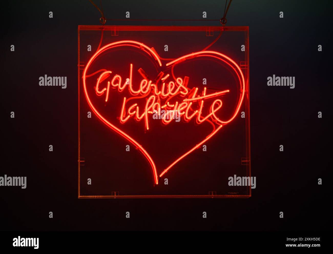 Neonschild Mit Schriftzug 'Love You Lovers' – Dekorative LED-Neonleuchte Für Wand Oder Regal
