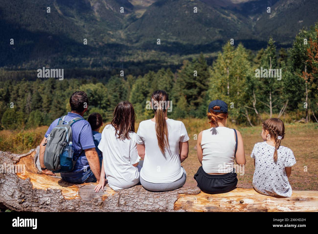 Glückliche Familie von Touristen sitzt auf Baumstämmen und genießt die Berglandschaft. Rückansicht. Vater, Mutter und drei Töchter bewundern die Landschaft. Marrie Stockfoto