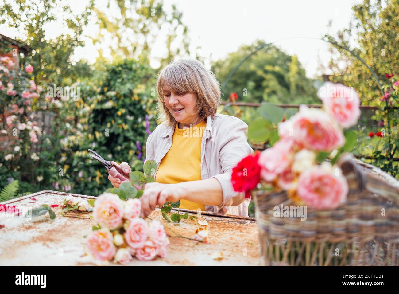 Eine Frau mittleren Alters sitzt an einem Tisch und pflückt draußen einen Rosenstrauß. Eine reife Frau kümmert sich um die Blumen im Garten. Ein glücklicher Stift Stockfoto