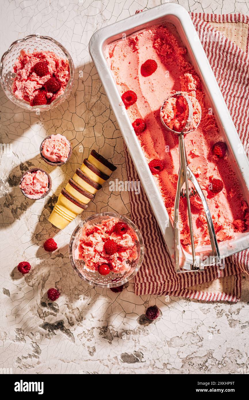 Hausgemachter Joghurt mit Himbeeren, Eis oder Sorbet mit frischen Beeren Stockfoto