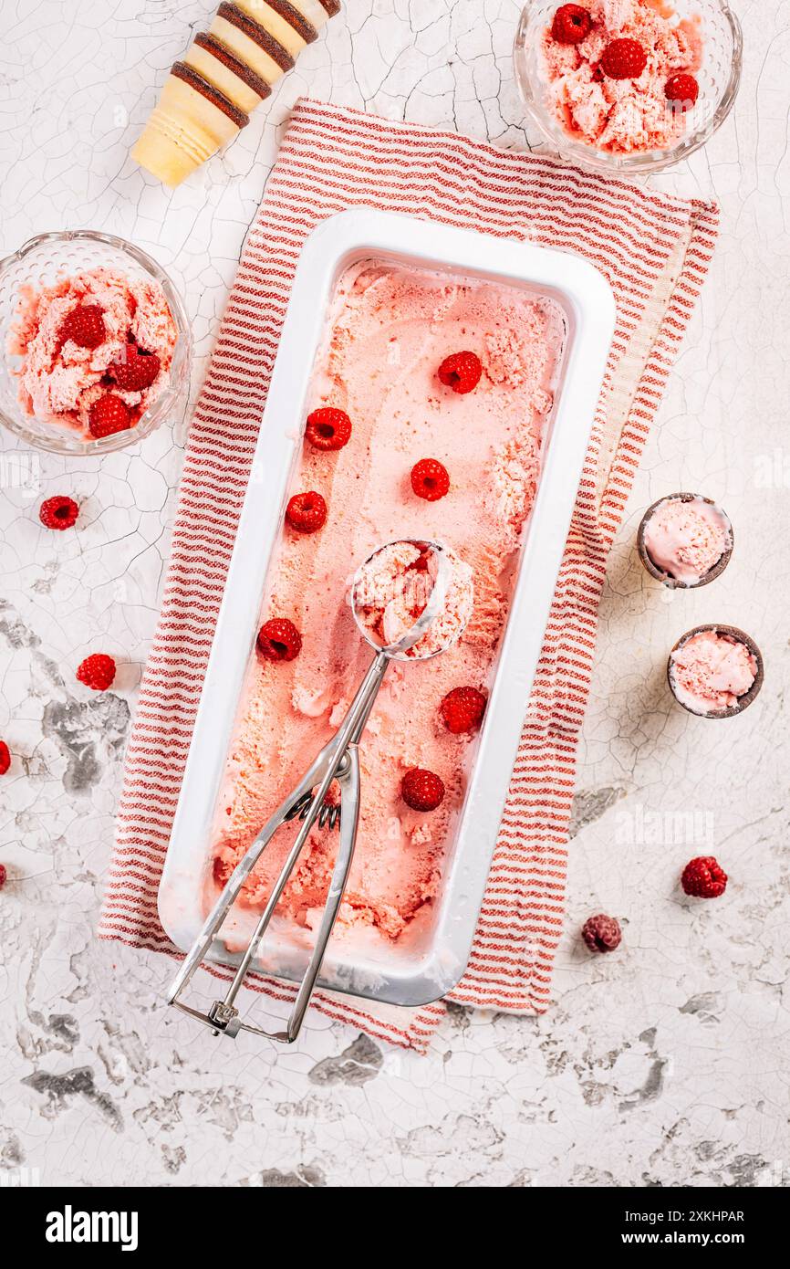 Hausgemachter Joghurt mit Himbeeren, Eis oder Sorbet mit frischen Beeren Stockfoto